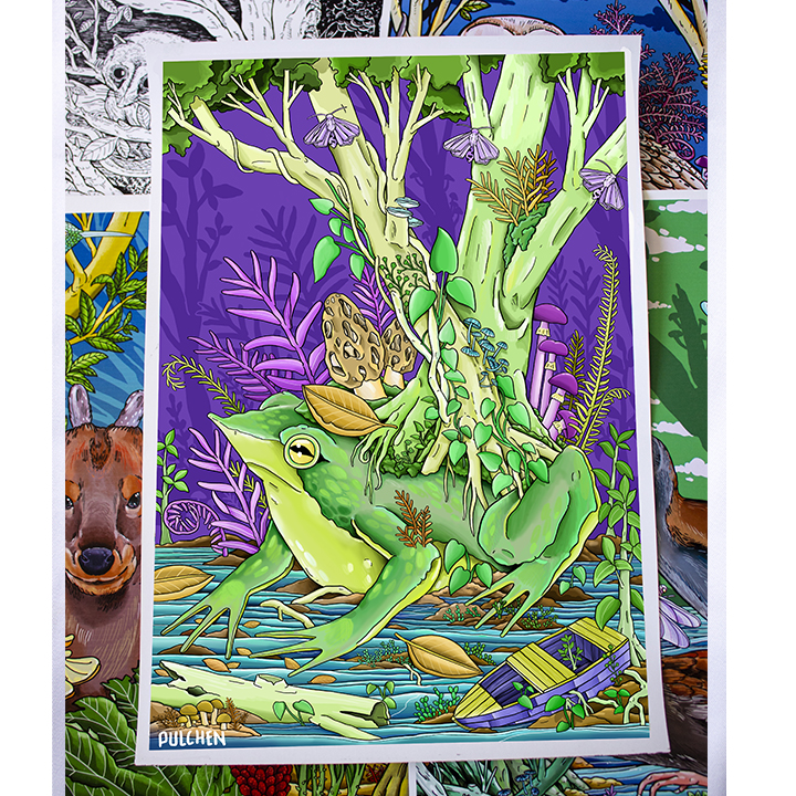 Print A3 ranita de darwin