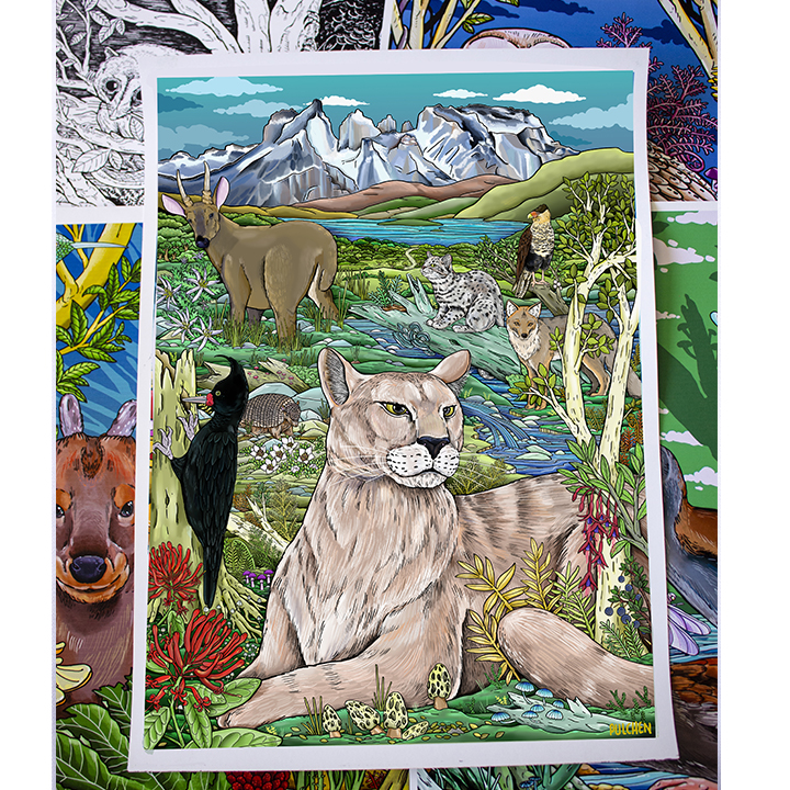 Print A3 torres del paine